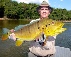 fishing peacock bass