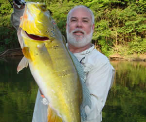 fishing peacock bass