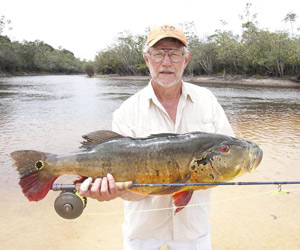 fishing peacock bass