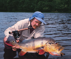 fishing peacock bass