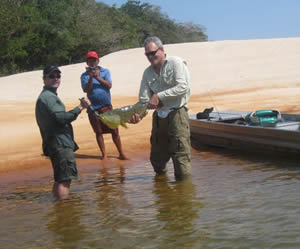 pesca tucunare