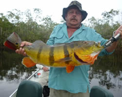 pesca tucunares