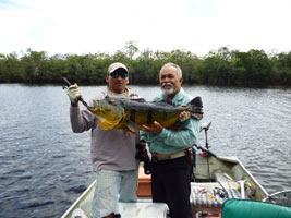 pesca tucunares