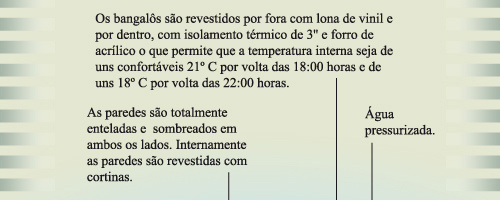 Pesca de tucunare Amazonia