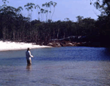 botes para pesca de Tucunaré